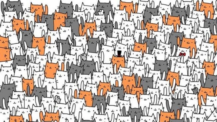 ACERTIJO VISUAL ACERTIJO VISUAL, RETO VISUAL, GATO Foto: ARCHIVO