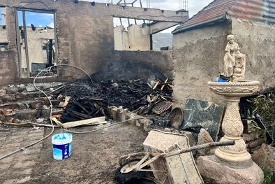 MDZol | Foto: Andrea Ginestar / MDZ.