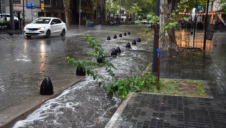 Foto: ALF PONCE MERCADO / MDZ