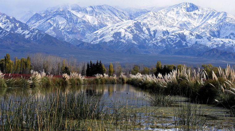 Zona aislada El abuso se habría producido en un área bastante agreste. Imagen ilustrativa. Foto: ALF PONCE / MDZ