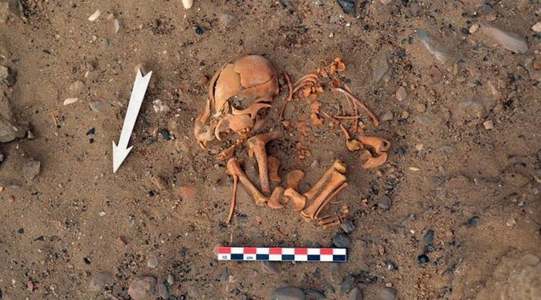 Entierro de un perro de aproximadamente entre 1100-500 años de antigüedad recuperado en el sitio arqueológico Huaca Amarilla (Perú).