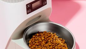 Los veterinarios recomiendan revisar la dieta de las mascotas al menos dos veces al año. Los veterinarios recomiendan revisar la dieta de las mascotas al menos dos veces al año.