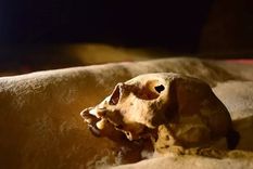 Foto: BELIZE TOURISM BOARD