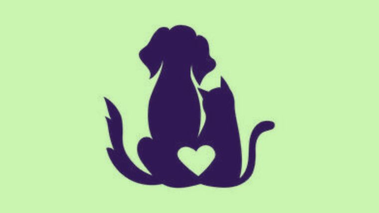 Test de personalidad