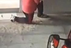 Bomberos de Lomas de Zamora rescataron a un bebé de 7 días Foto: Destacamento San José