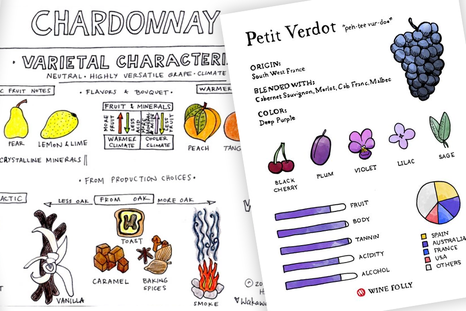 16 infografías para aprender sobre diferentes varietales de uvas