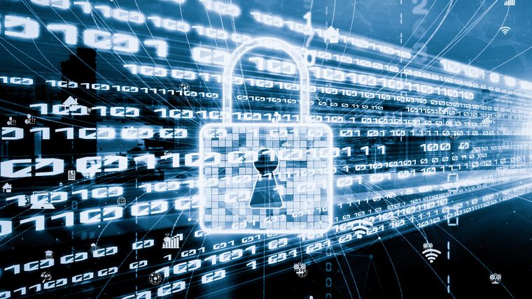 El fenómeno se explica en parte por el aumento de la conciencia digital del consumidor. El fenómeno se explica en parte por el aumento de la conciencia digital del consumidor.
