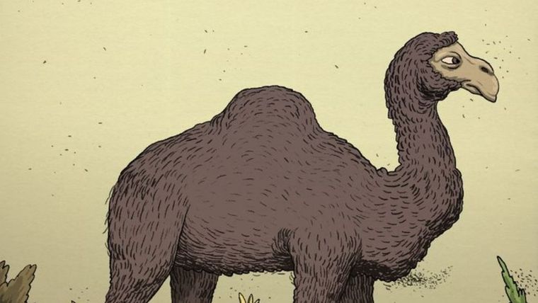 Acertijo visual, reto visual, jinete