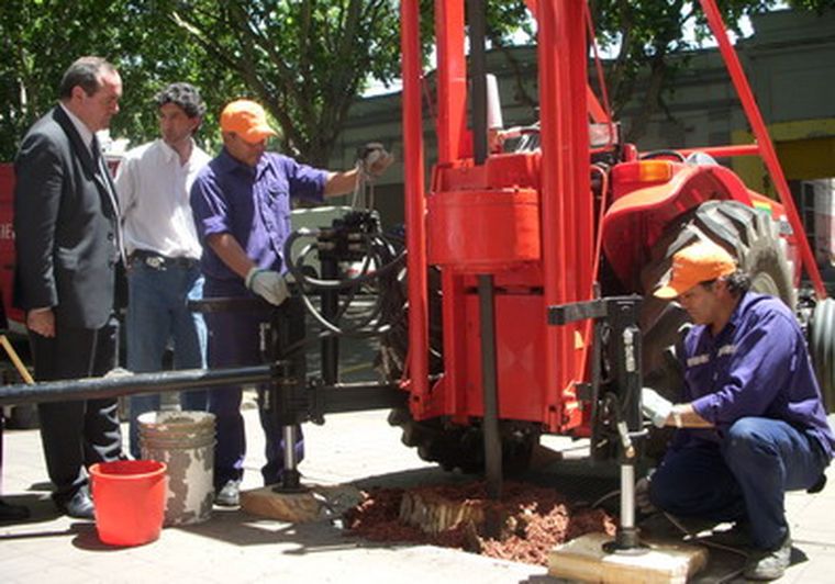 Cicchitti controla el funcionamiento de la destoconadora. Foto: MDZ