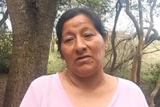 Laudelina habría confesado que el niño fue atropellado por María Victoria Caillava y Carlos Pérez Foto: NA