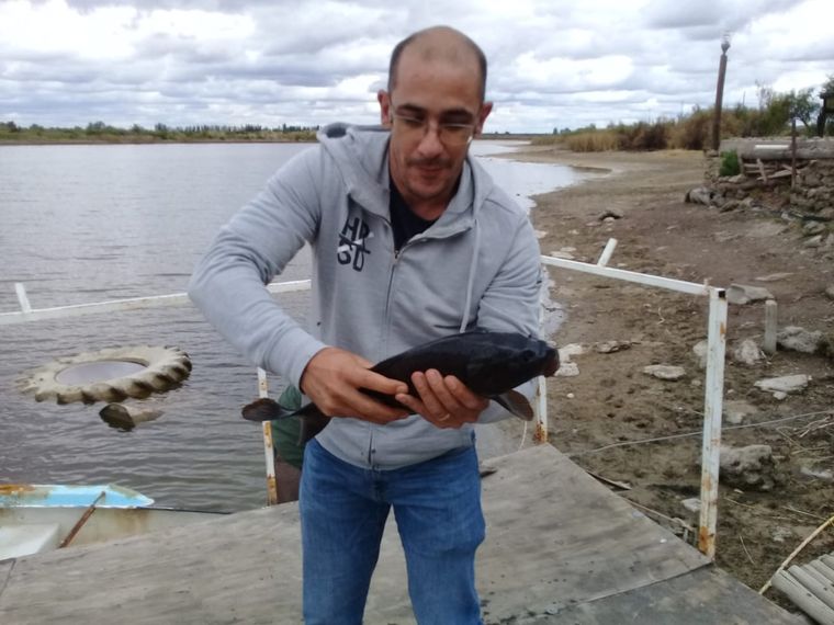 Preocupación en Maipú.