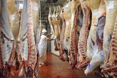 Los trabajadores de la carne lograron una paritaria inédita Foto: NA