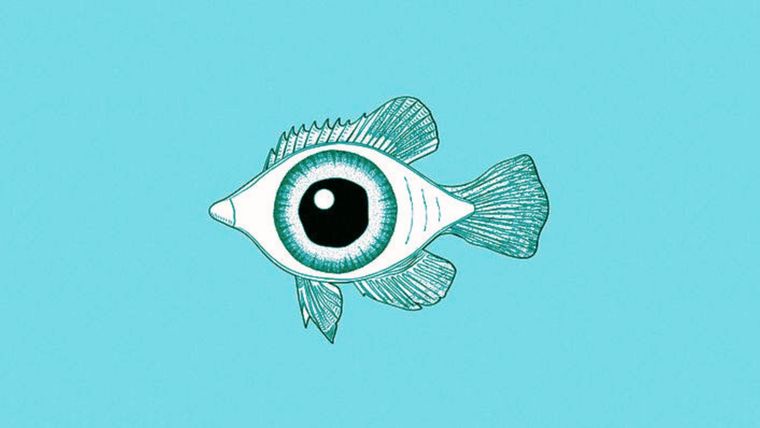 Test de personalidad