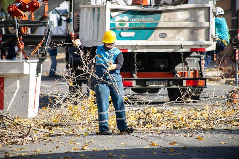 La recolección de residuos, tareas d elimpieza y otros servicios se verán modificados Foto: Ciudad de Mendoza