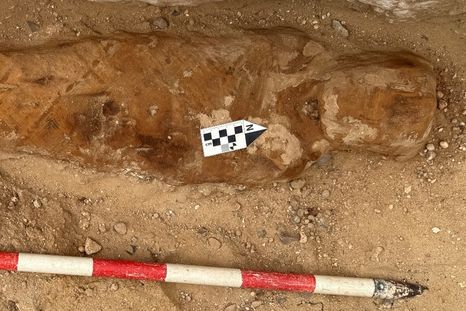 En Egipto descubrieron una etatua que podría pertenecer al faraón Ramsés II (Imagen ilustrativa). En Egipto descubrieron una etatua que podría pertenecer al faraón Ramsés II (Imagen ilustrativa).