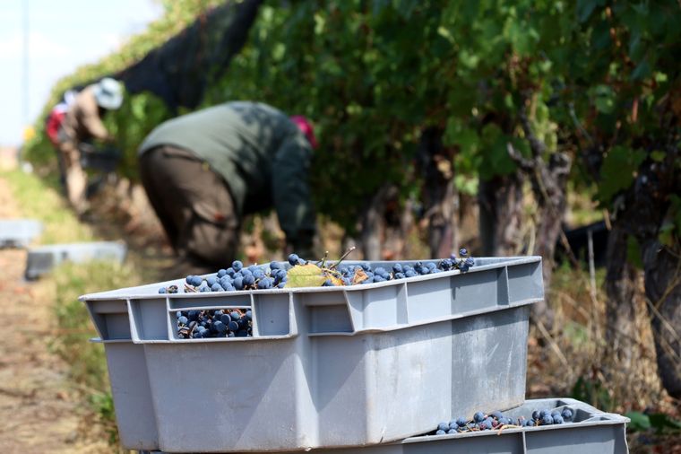 El DNU comienza a impactar en los diferentes sectores de la sociedad Foto: Maximiliano Ríos/MDZ