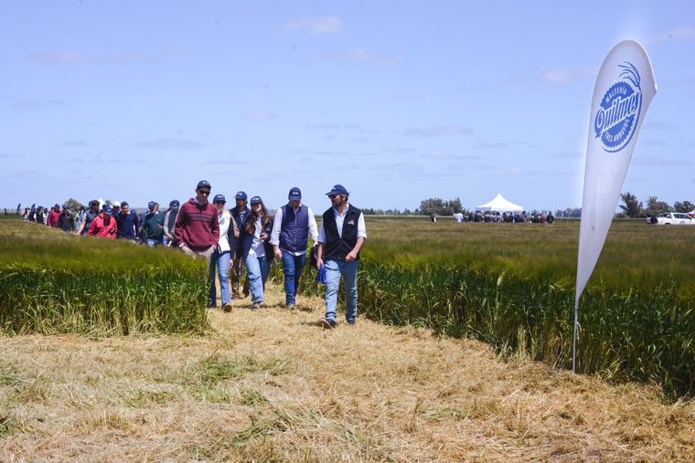 Cervecería y Maltería Quilmes reafirma su liderazgo en la investigación agrícola y la producción sustentable.