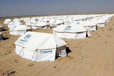 alerta humanitaria: cada 15 segundos hay un nuevo refugiado sirio