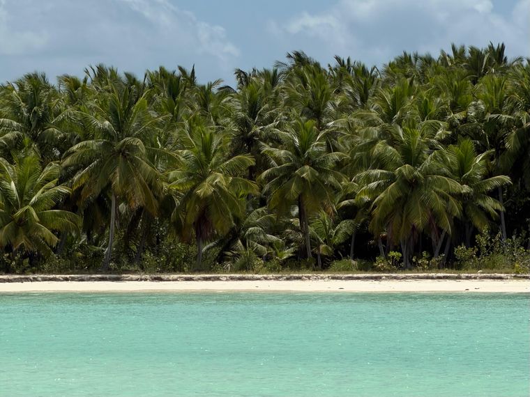 Isla Saona es uno de los puntos más visitados del Caribe.&nbsp;