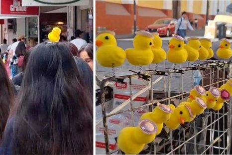 Los patitos de goma virales son peligrosos para nuestras mascotas, por eso te dejamos algunas precauciones y consejos Foto: Fotos de Twitter.