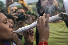 uruguay repartira marihuana a mediados del 2014