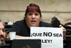 Los fuertes dichos de la diputada Foto: X Natalia Zaracho