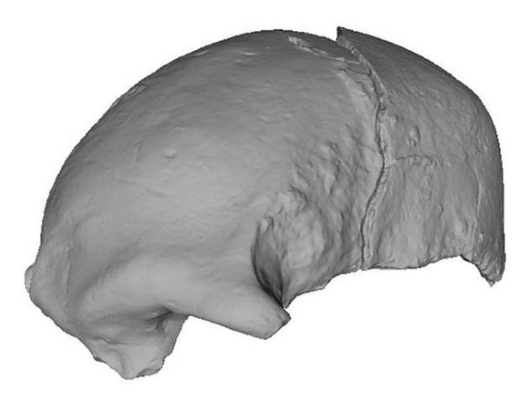 611947.jpg