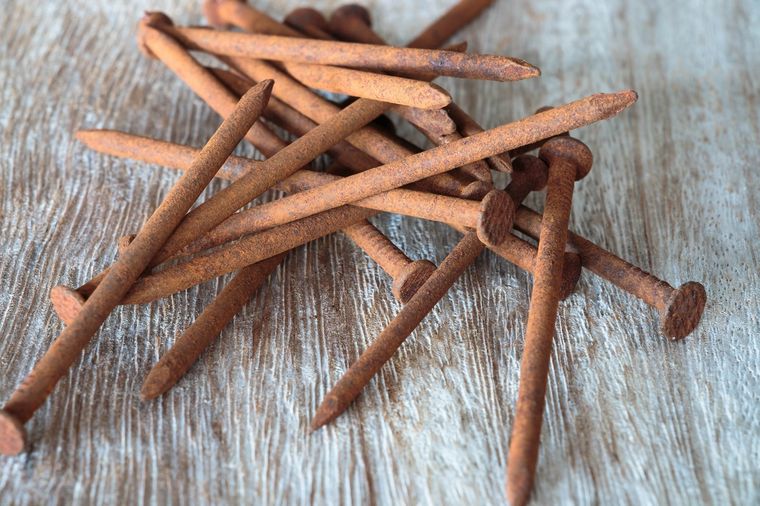 JARDÍN LOS CLAVOS OXIDADOS APORTAN HIERRO A ALGUNAS PLANTAS Foto: SHUTTERSTOCK