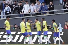 Los brasileros se divierten en La Plata. Foto: EFE Los brasileros se divierten en La Plata. Foto: EFE