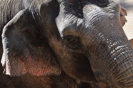 Tamy nunca pudo ser trasladado Tamy nunca pudo ser trasladado