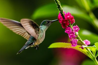 MDZol | ¿Qué hizo esta pequeña para tener esa vista privilegada? Foto: Shutterstock