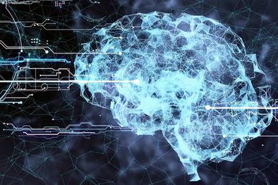 MDZol | ¿Computadoras vivas? El experimento que divide a los científicos