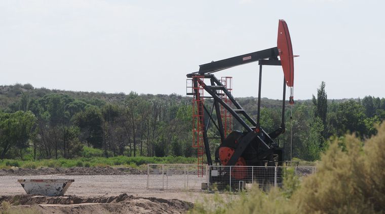 Foto: Pachy Reynoso/MDZ