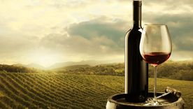Malbec, nuestra cepa emblema.