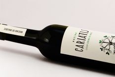 una reconocida figura politica mendocina triunfo con una particular bebida