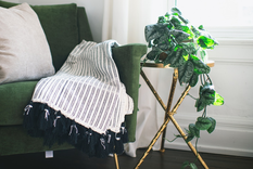 Este es el sistema de autorriego para cuidar la decoración de tu hogar con plantas. Foto: Pixabay - pixabay.com