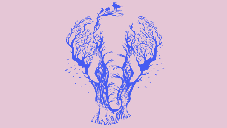 test de personalidad test de personalidad