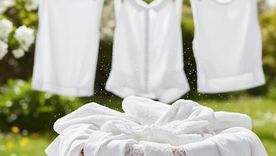 Recupera tu ropa blanca. Recupera tu ropa blanca.