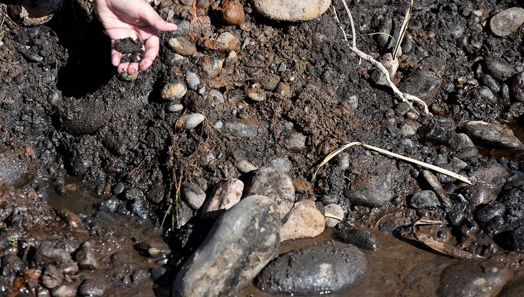 MDZ estuvo en el lugar donde encontraron el agua y la tierra empetrolada en septiembre. Foto: Walter Moreno/Mdz