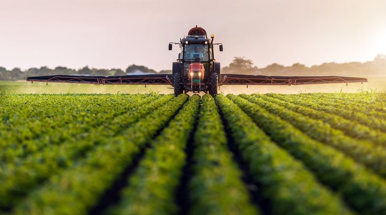 Más allá de la estacionalidad, hay otros factores que inciden en el precio de los campos. Foto: shutterstock.com