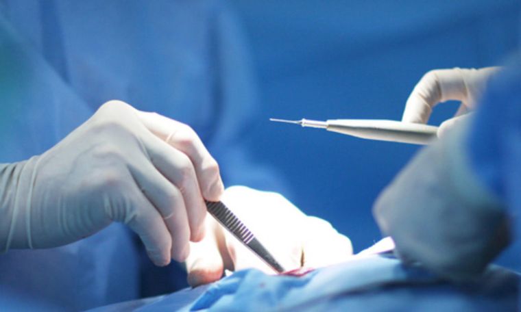 La mayoría de las pacientes busca figuras más estilizadas y atléticas, evitando curvas exageradas. La mayoría de las pacientes busca figuras más estilizadas y atléticas, evitando curvas exageradas.