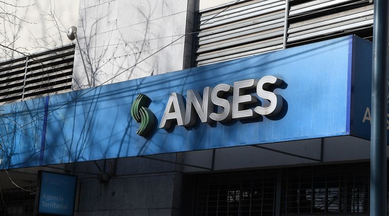 Anses recomienda hacerlo una vez al año Foto: ALF PONCE MERCADO / MDZ
