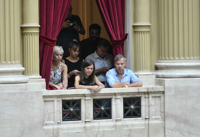 Fernanda Raverta siguió la sesión desde los palcos Foto: Noticias Argentinas