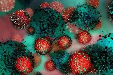 La mayoría de las mutaciones del coronavirus no tiene consecuencias sobre el curso de la pandemia. Foto: SHUTTERSTOCK