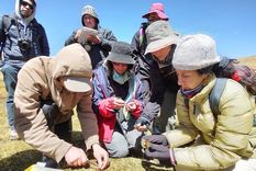 Ahora compite por un millón de dólares junto a 25 científicos.