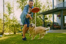 Mantené a tu mascota feliz y saludable con estos juguetes Foto: Shutterstock