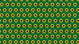 Este acertijo visual es uno de los más complicados de resolver.