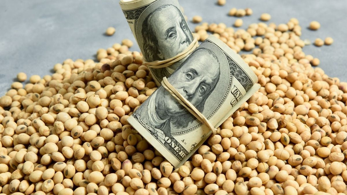 soja dolar