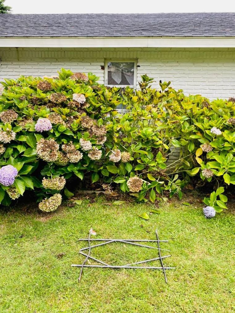 Los delincuentes rompieron una reja para ingresar Foto: Pantallazo