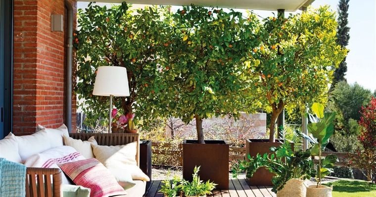 Armar un jardín perfumado hará que disfrutemos aún más ese espacio.